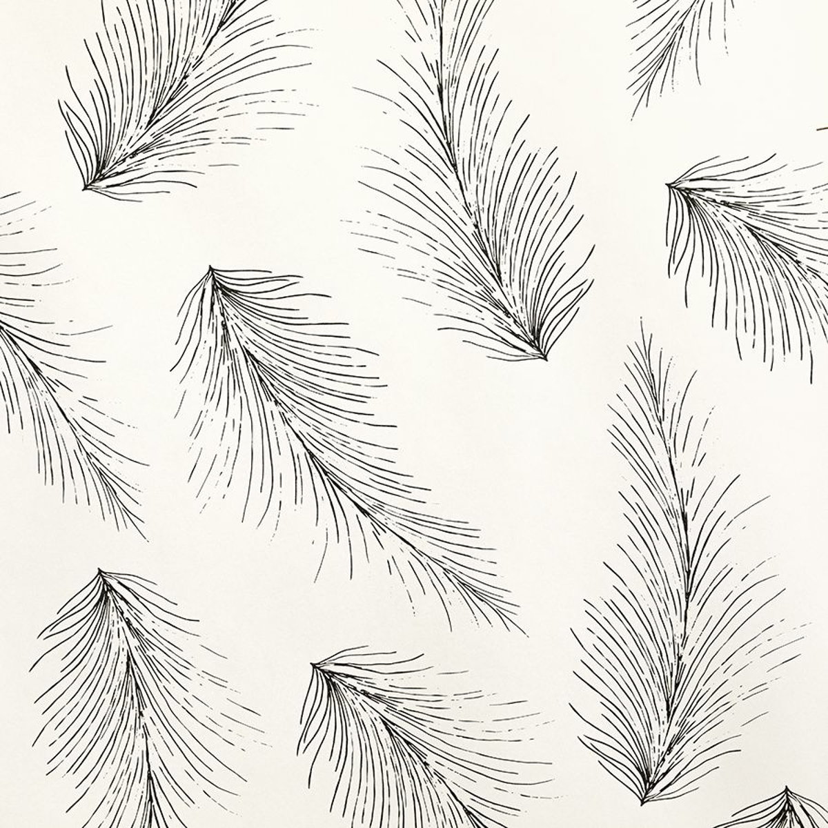 Feather wallpaper