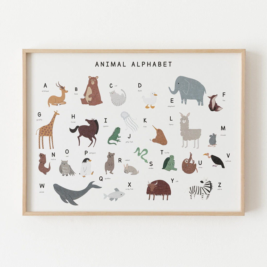 Animal-ABC